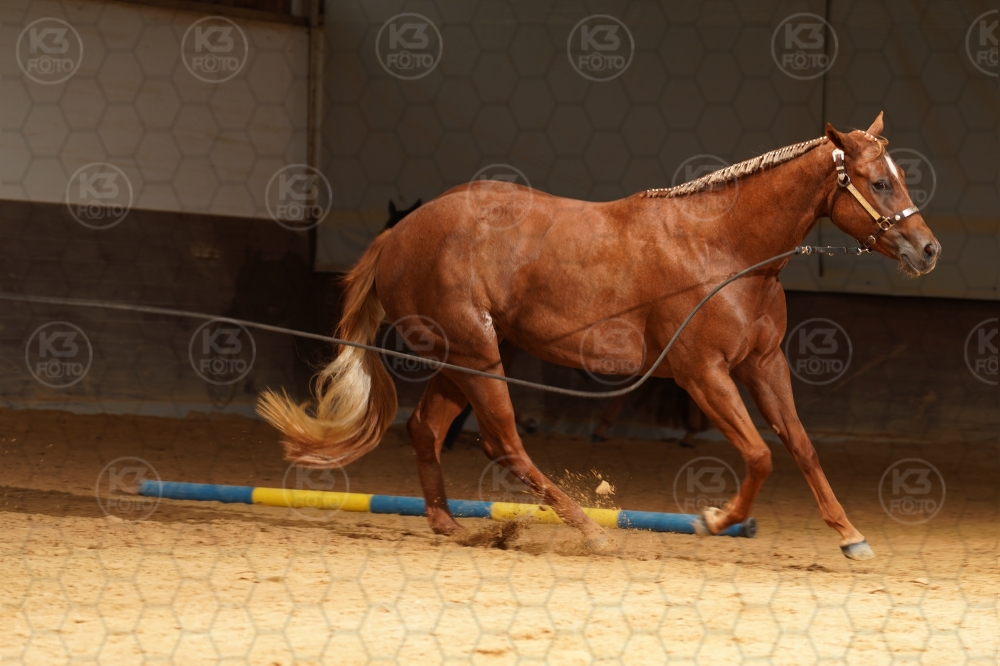 s_A9_08425.jpg